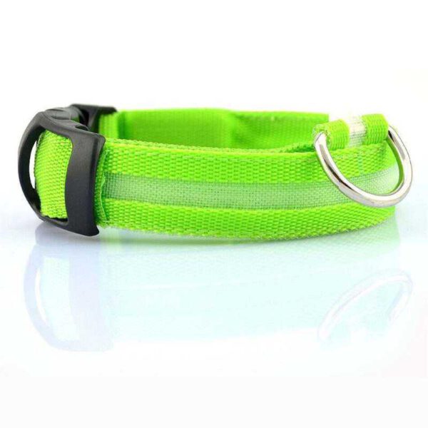 LED Halsband für Hunde (Grün)