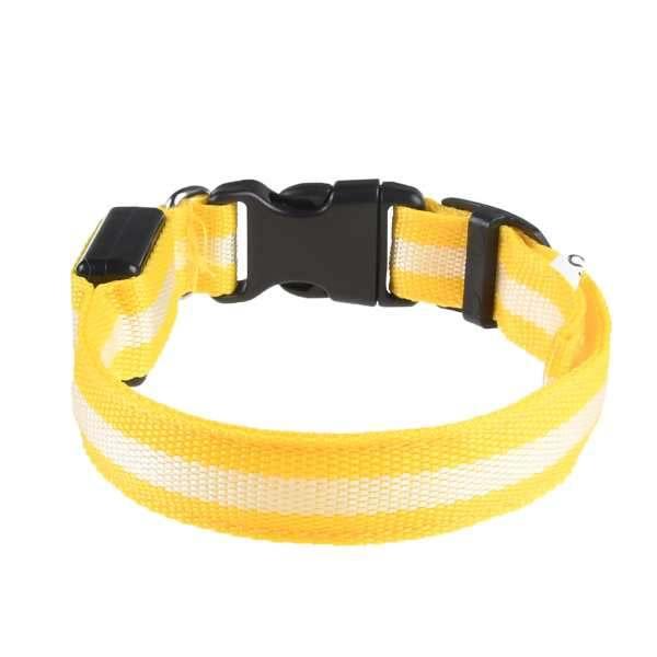 Gummi Hunde Halsband mit LED's blau 65cm wiederaufladbar Mini-USB Gummi Hunde Halsband mit LED's blau 65cm wiederaufladbar Mini-USB