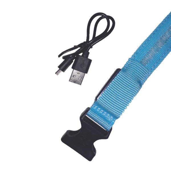 LED Halsband USB